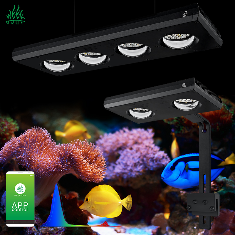 Aquarium Blue Marine - ZXY رائجة البيع WEEKAQUA Z250 Z400sea