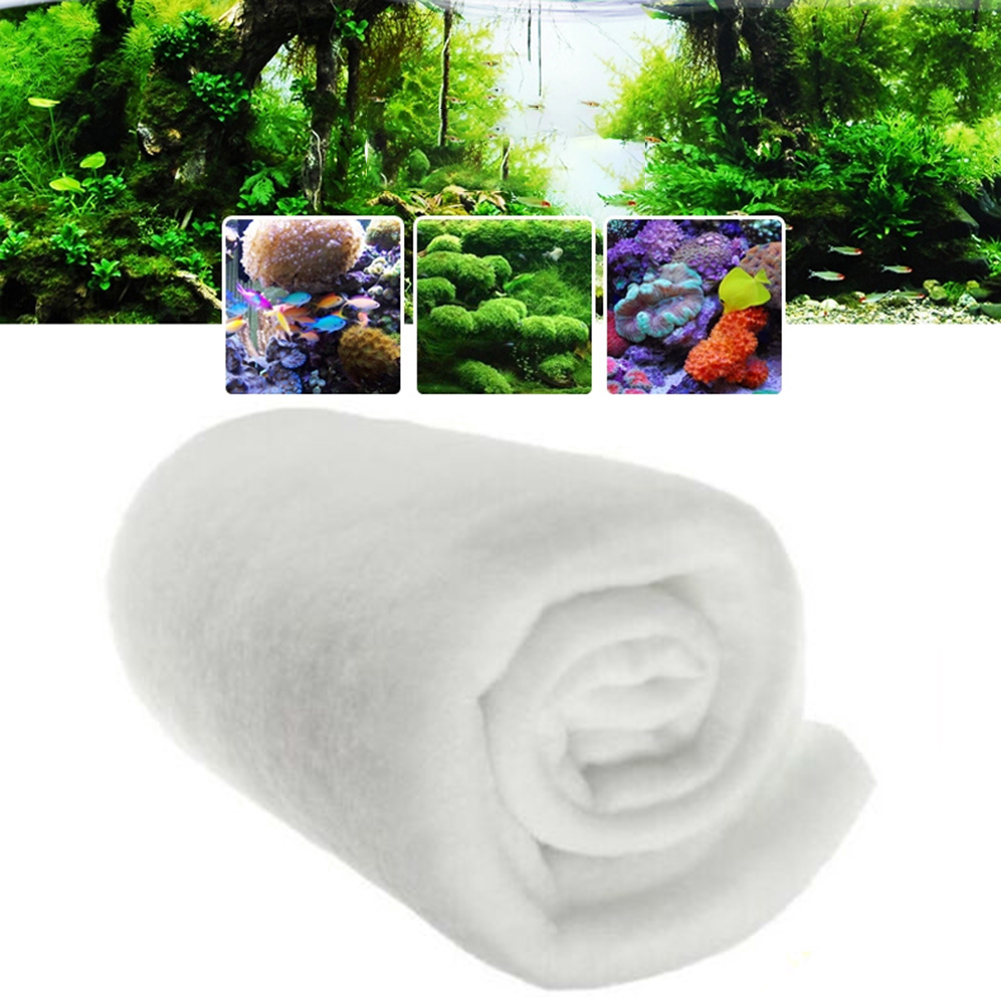 قطعة واحدة من فلتر حوض السمك 1 - مراجعة Marine Aquarium Bacteria وسعره