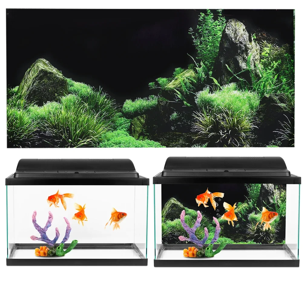 خلفية ل حوض السمك ملصق ثلاثية  - مراجعة Marine Aquarium Hobby وسعره