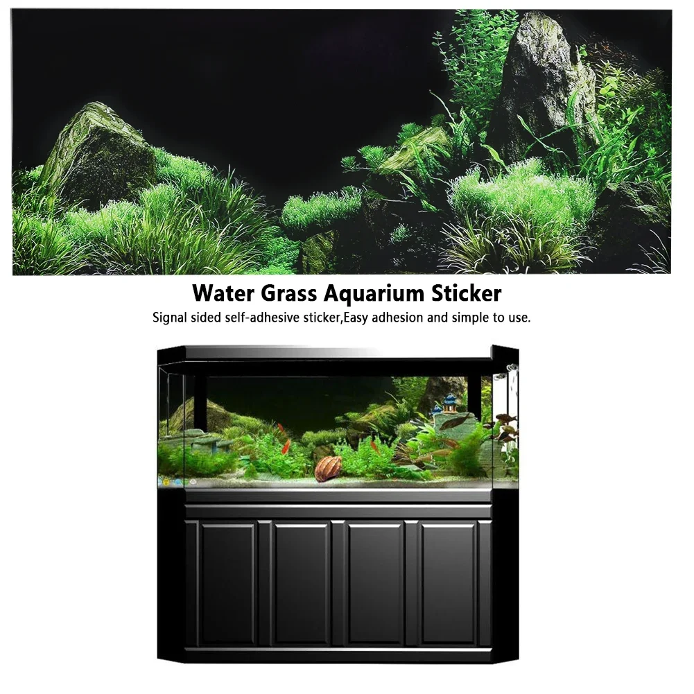 خلفية ل حوض السمك ملصق ثلاثية  - مراجعة Marine Aquarium Hobby وسعره