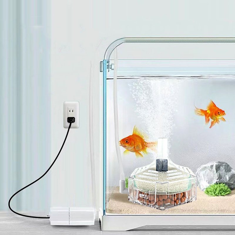 رقيقة جدا حوض السمك خزان الأسم - مراجعة Marine Aquarium Bacteria وسعره