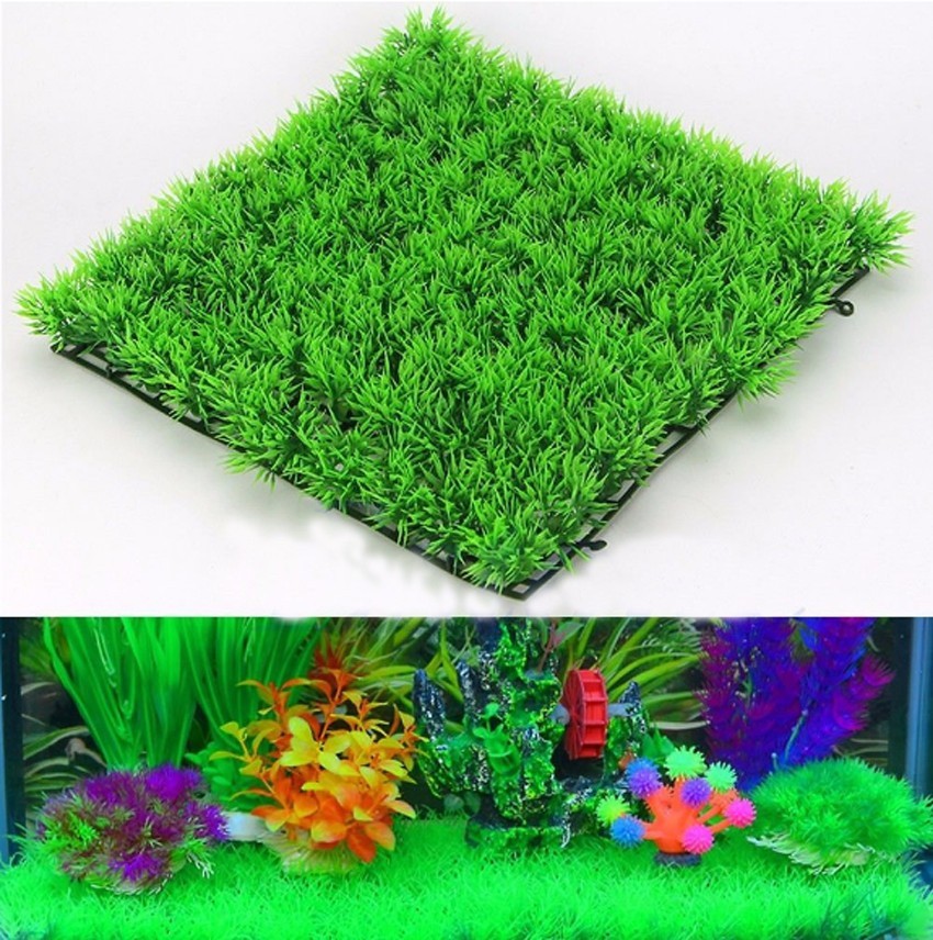 نبات العشب الأخضر الاصطناعي ال - مراجعة Marine Aquarium Hobby وسعره