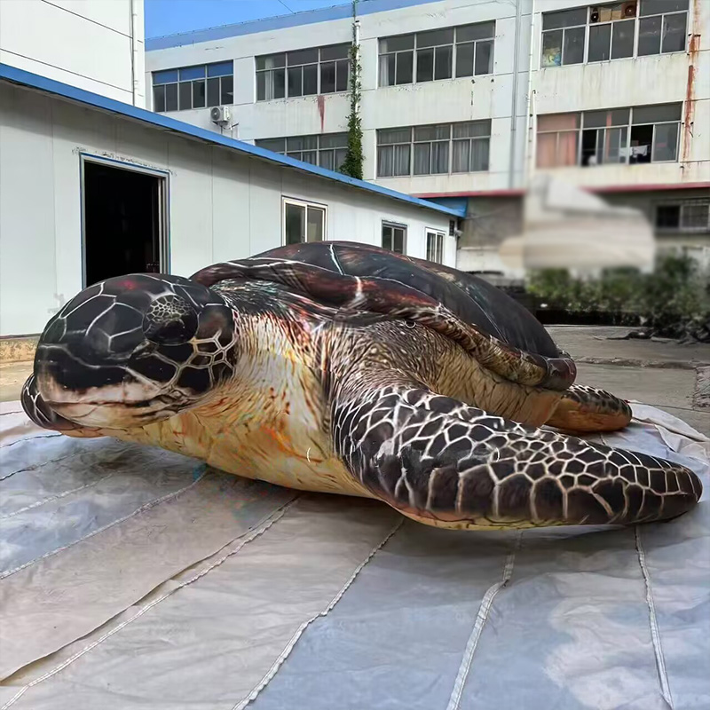 يمكن تعليق السلاحف البحرية الق - مراجعة Aquarium Marine Shop وسعره