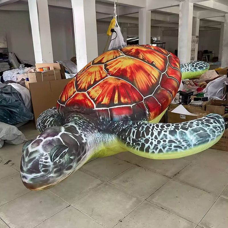 يمكن تعليق السلاحف البحرية الق - مراجعة Aquarium Marine Shop وسعره