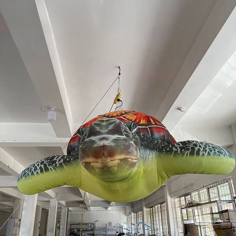 يمكن تعليق السلاحف البحرية الق - مراجعة Aquarium Marine Shop وسعره