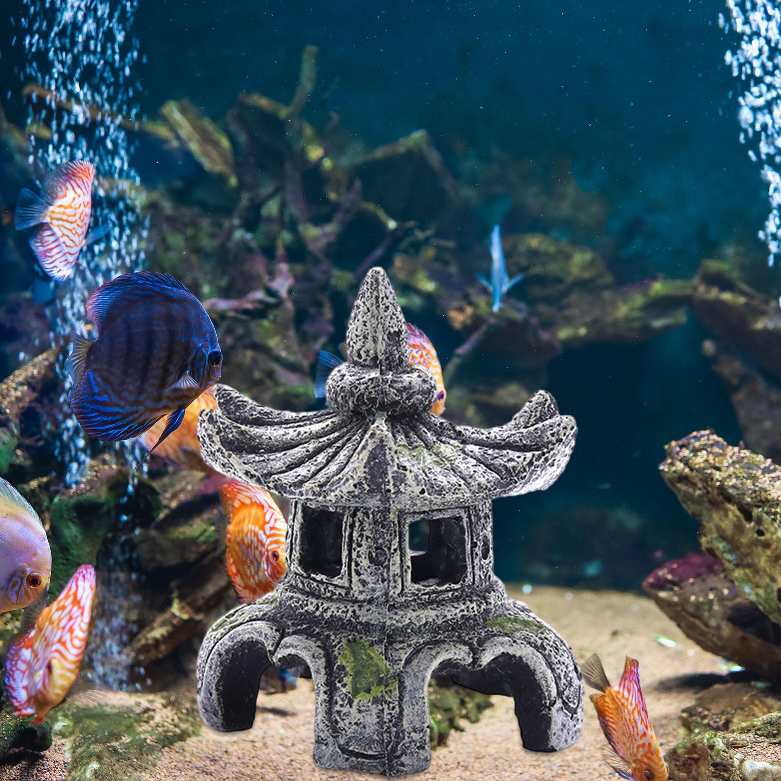 زخرفة مصباح حجر الحوض ، زخرفة  - مراجعة Marine Aquarium Hobby وسعره