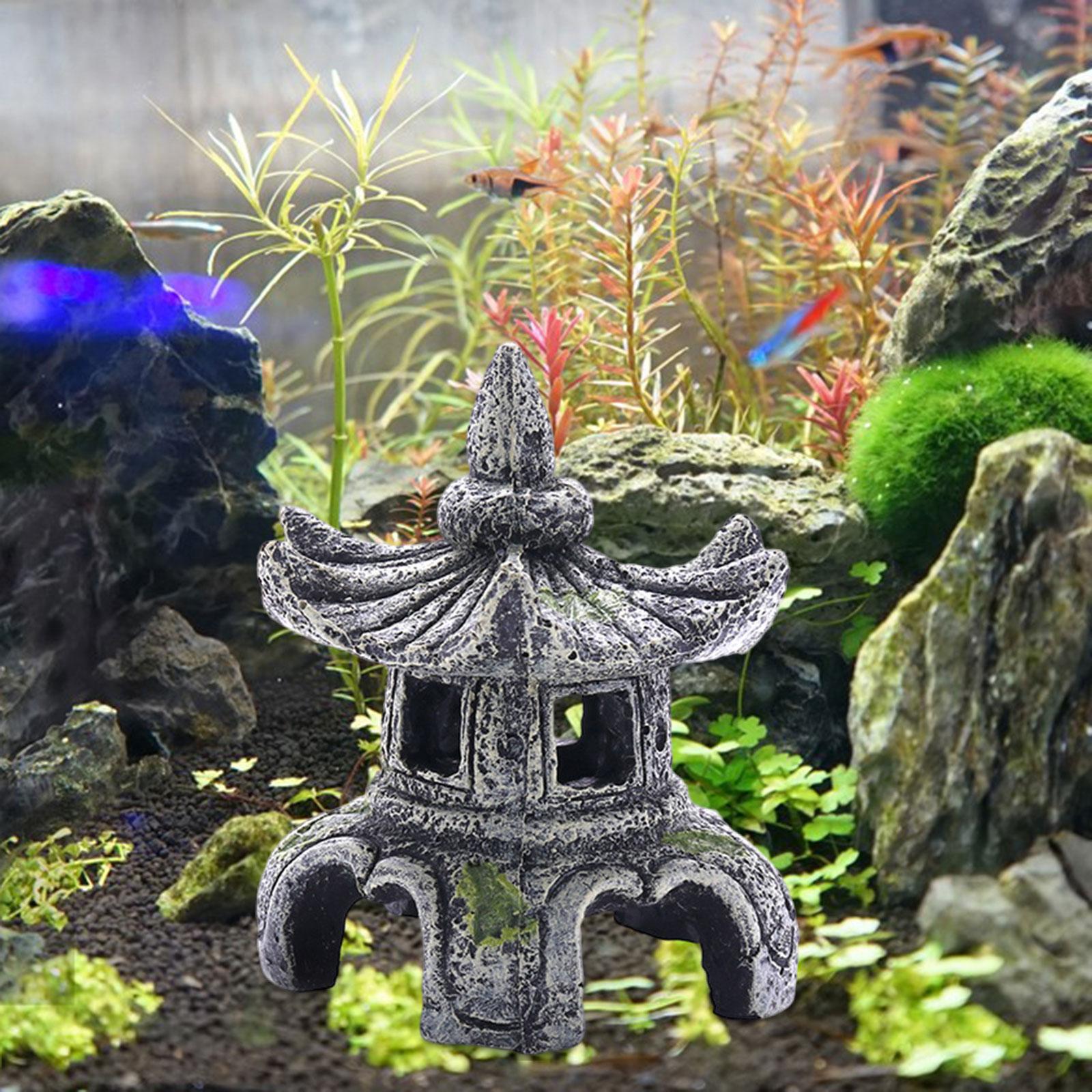 زخرفة مصباح حجر الحوض ، زخرفة  - مراجعة Marine Aquarium Hobby وسعره