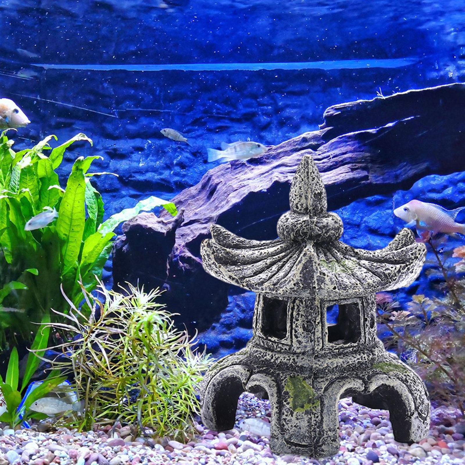 زخرفة مصباح حجر الحوض ، زخرفة  - مراجعة Marine Aquarium Hobby وسعره