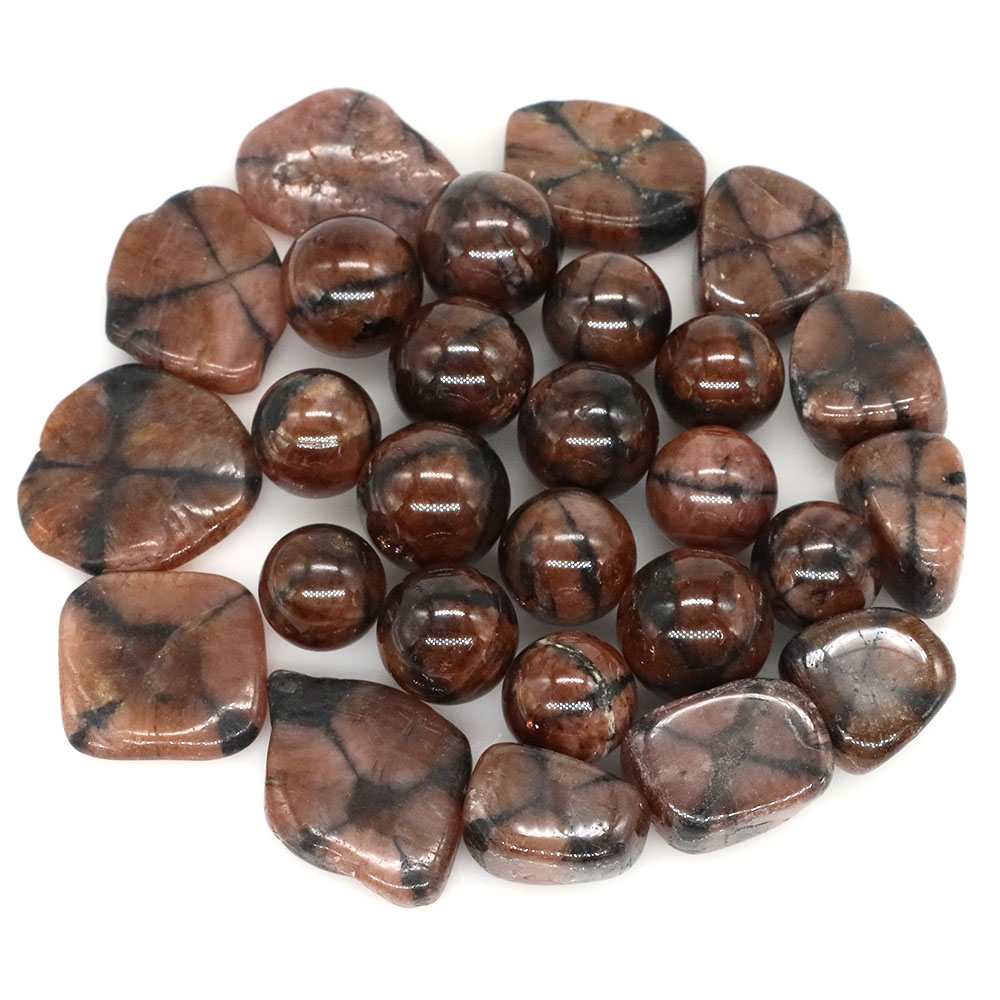 الصليب الطبيعي تشيستوليت بلورا - مراجعة Aquarium Marine Stone وسعره
