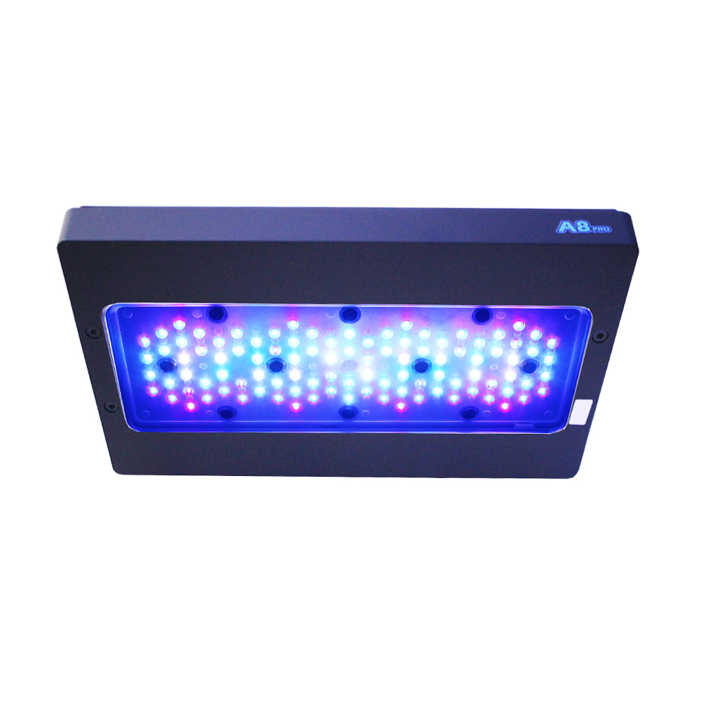 إضاءة LED لحوض الأسماك البحرية - مراجعة Aquarium Blue Marine وسعره