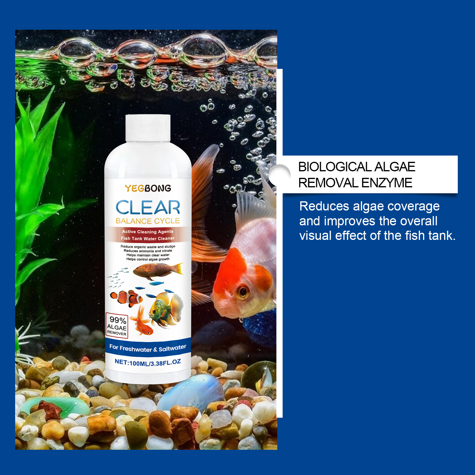 حوض السمك المياه توضيح 100 ملل - مراجعة Marine Aquarium Bacteria وسعره