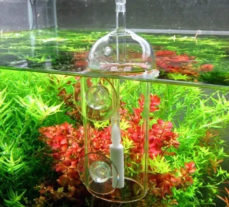 VIV Do جهاز حوض السمك اسطوانة  - مراجعة Aquarium Marine Stone وسعره