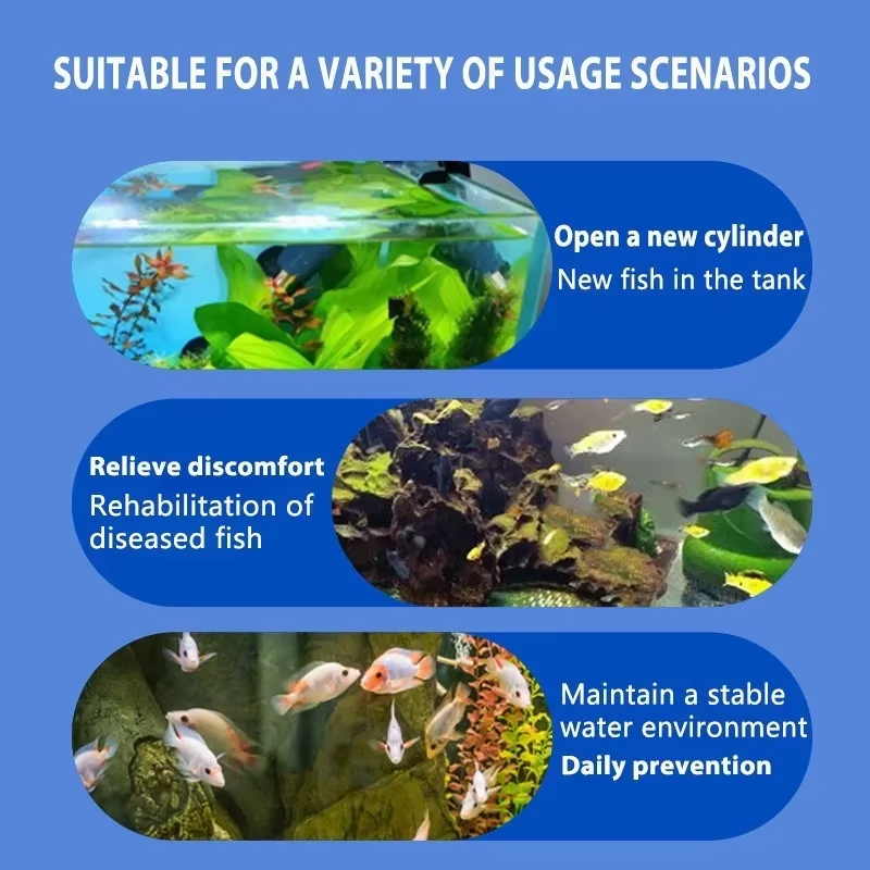 علاج أمراض السمك من سيكيزان وا - مراجعة Marine Aquarium Bacteria وسعره
