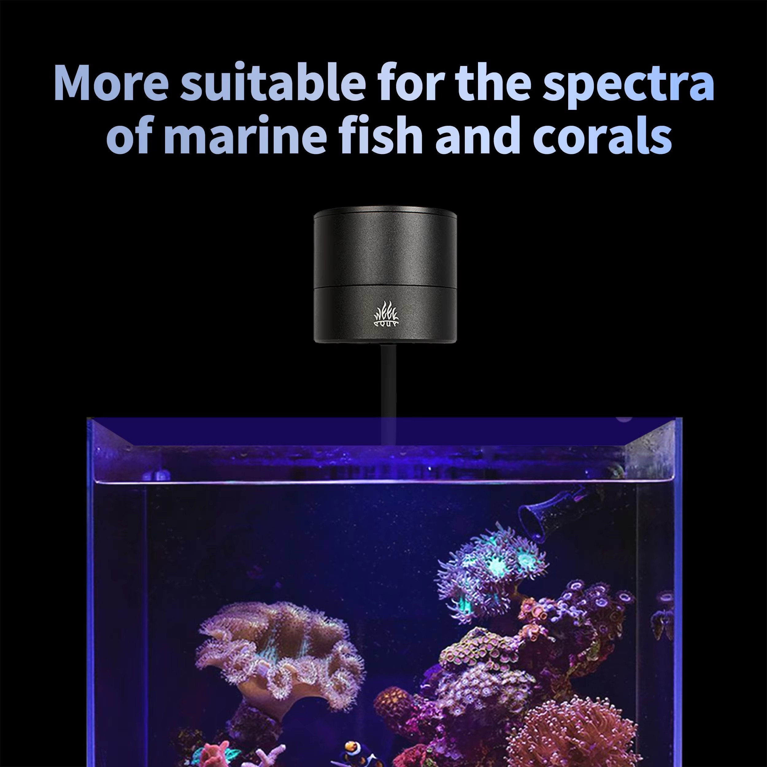 مصباح حوض السمك WEEK AQUA، إضا - مراجعة Aquarium Blue Marine وسعره