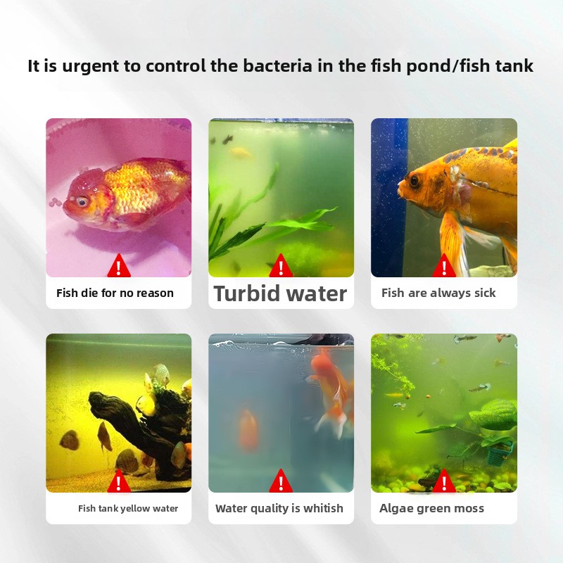 ملح حوض السمك HUACHU لأسماك ال - مراجعة Marine Aquarium Bacteria وسعره