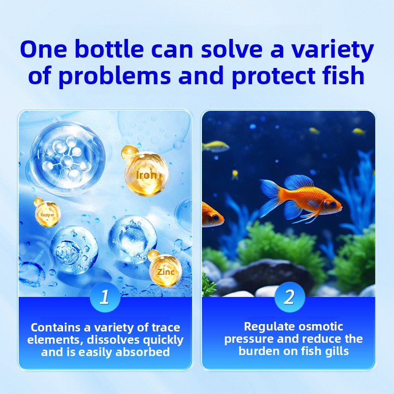 ملح حوض السمك HUACHU لأسماك ال - مراجعة Marine Aquarium Bacteria وسعره