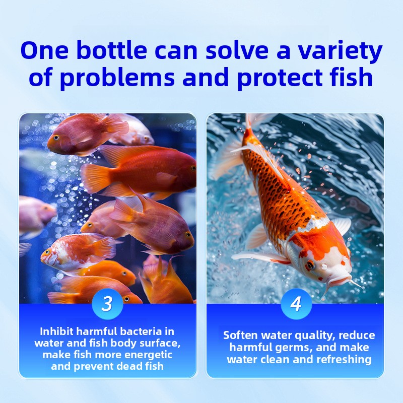 ملح حوض السمك HUACHU لأسماك ال - مراجعة Marine Aquarium Bacteria وسعره