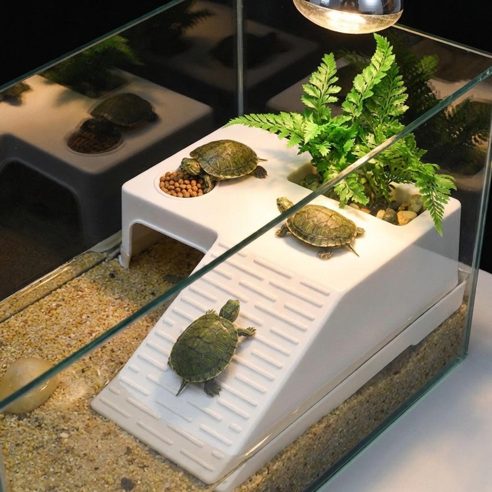 منصة استراحة وتشمس للسلاحف، دي - مراجعة Marine Aquarium Hobby وسعره