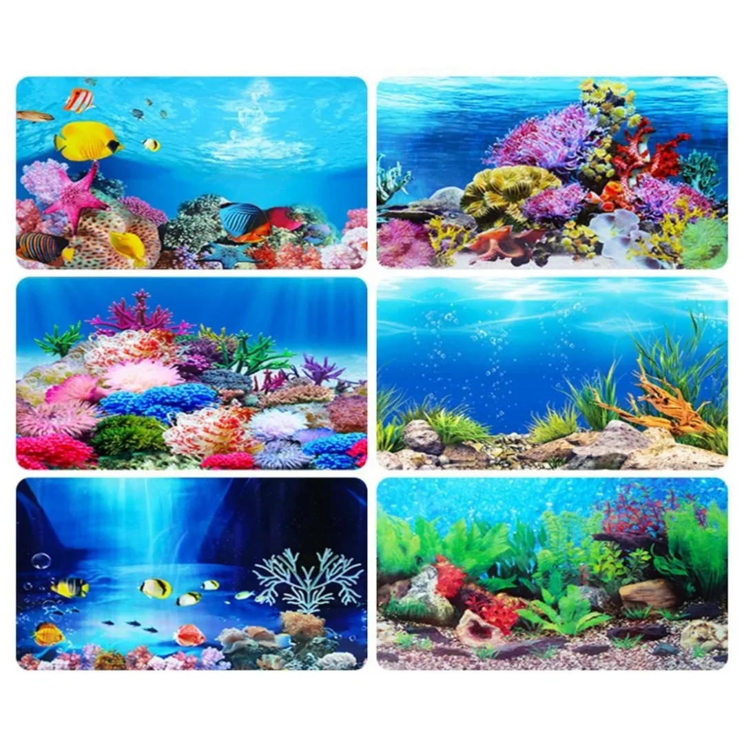 خلفية حوض السمك ثلاثية الأبعاد - مراجعة Marine Aquarium Hobby وسعره