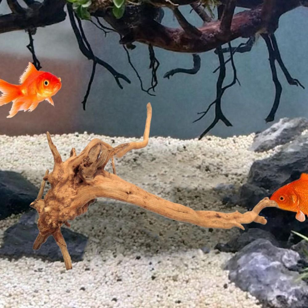 شجرة طبيعية جذع حوض السمك الدي - مراجعة Marine Aquarium Hobby وسعره