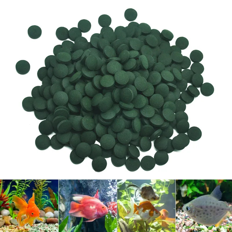 50-300 قطعة أقراص سبيرولينا عا - مراجعة Marine Aquarium Bacteria وسعره