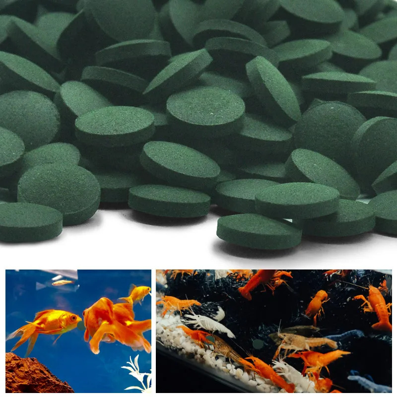 50-300 قطعة أقراص سبيرولينا عا - مراجعة Marine Aquarium Bacteria وسعره