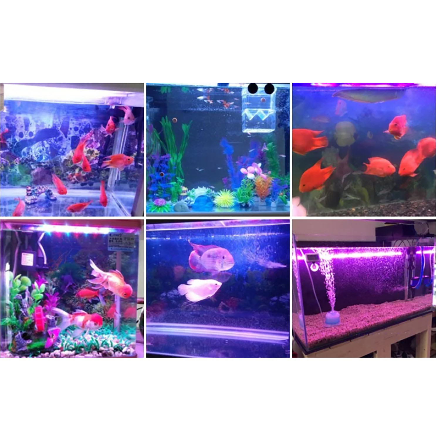 إضاءة LED متعددة الألوان للأحو - مراجعة Aquarium Blue Marine وسعره